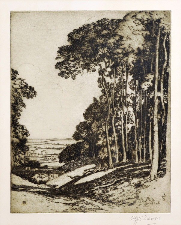 A Glade in the Cotswolds - Etching (KETKM: 41)